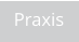 Praxis